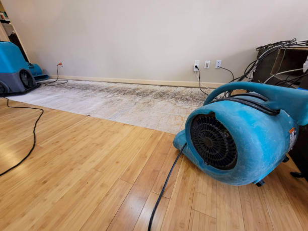 Professional Basement Flood Cleanup technician working in Ola, ID